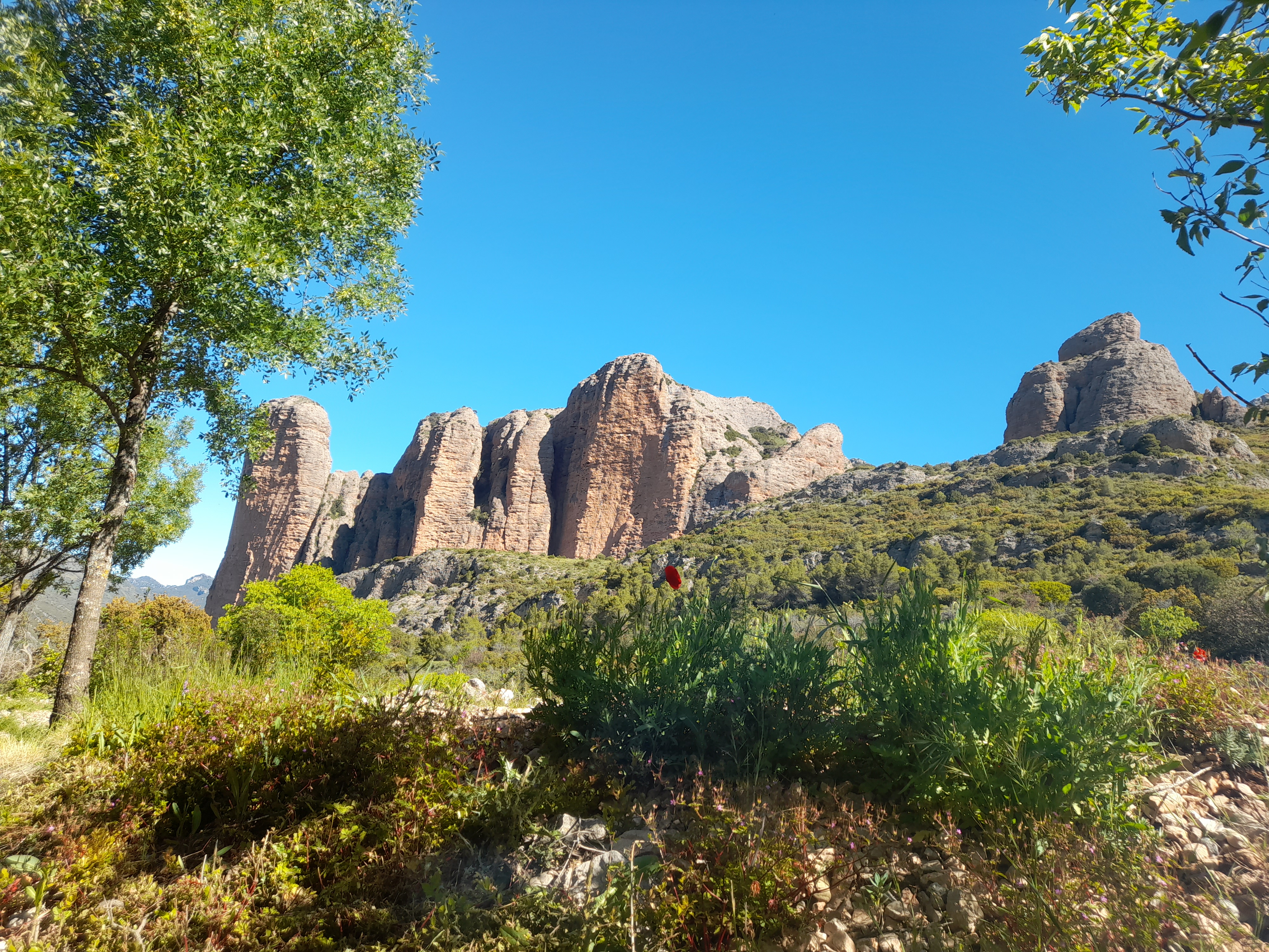 image_1