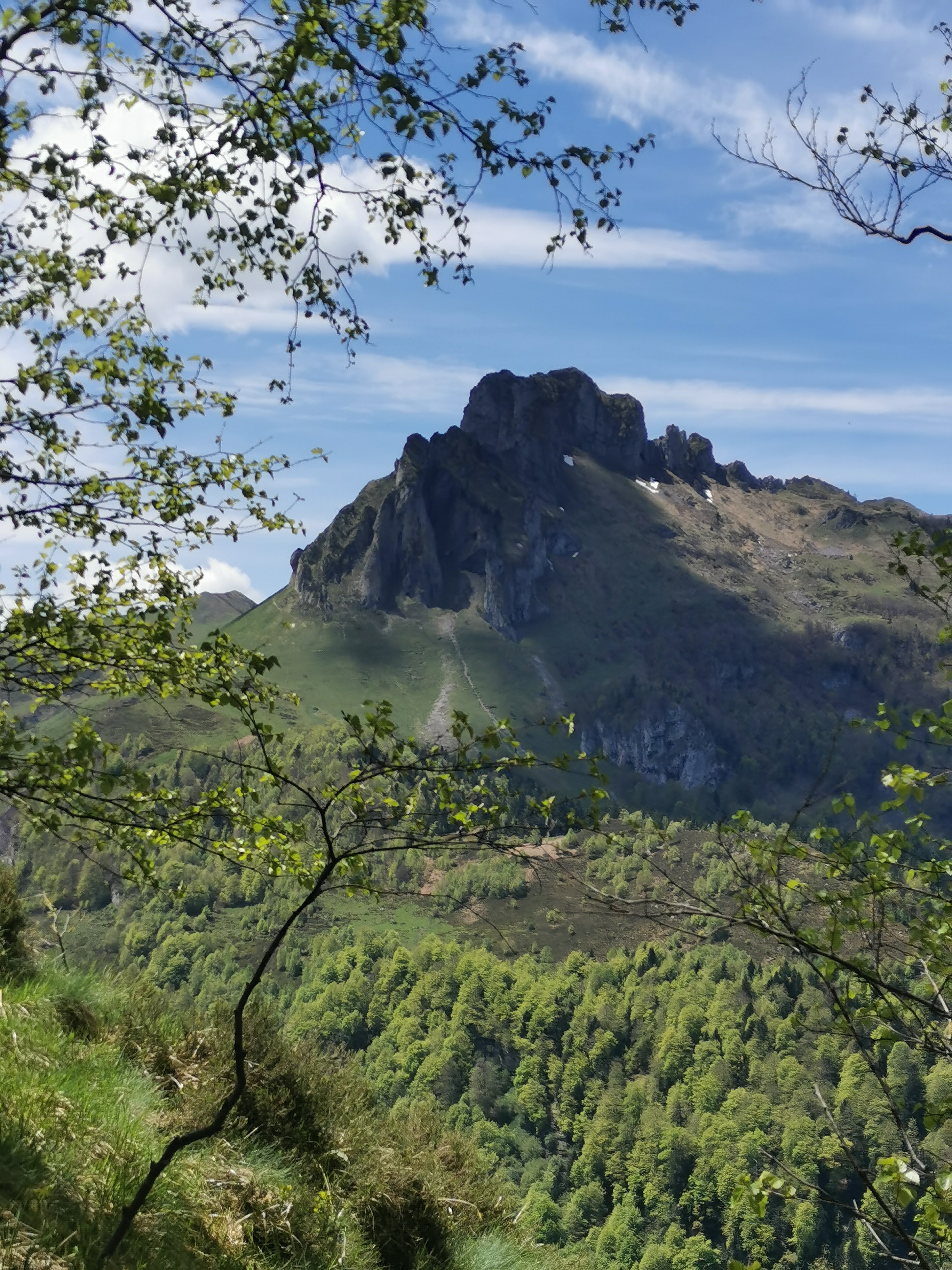 image_1