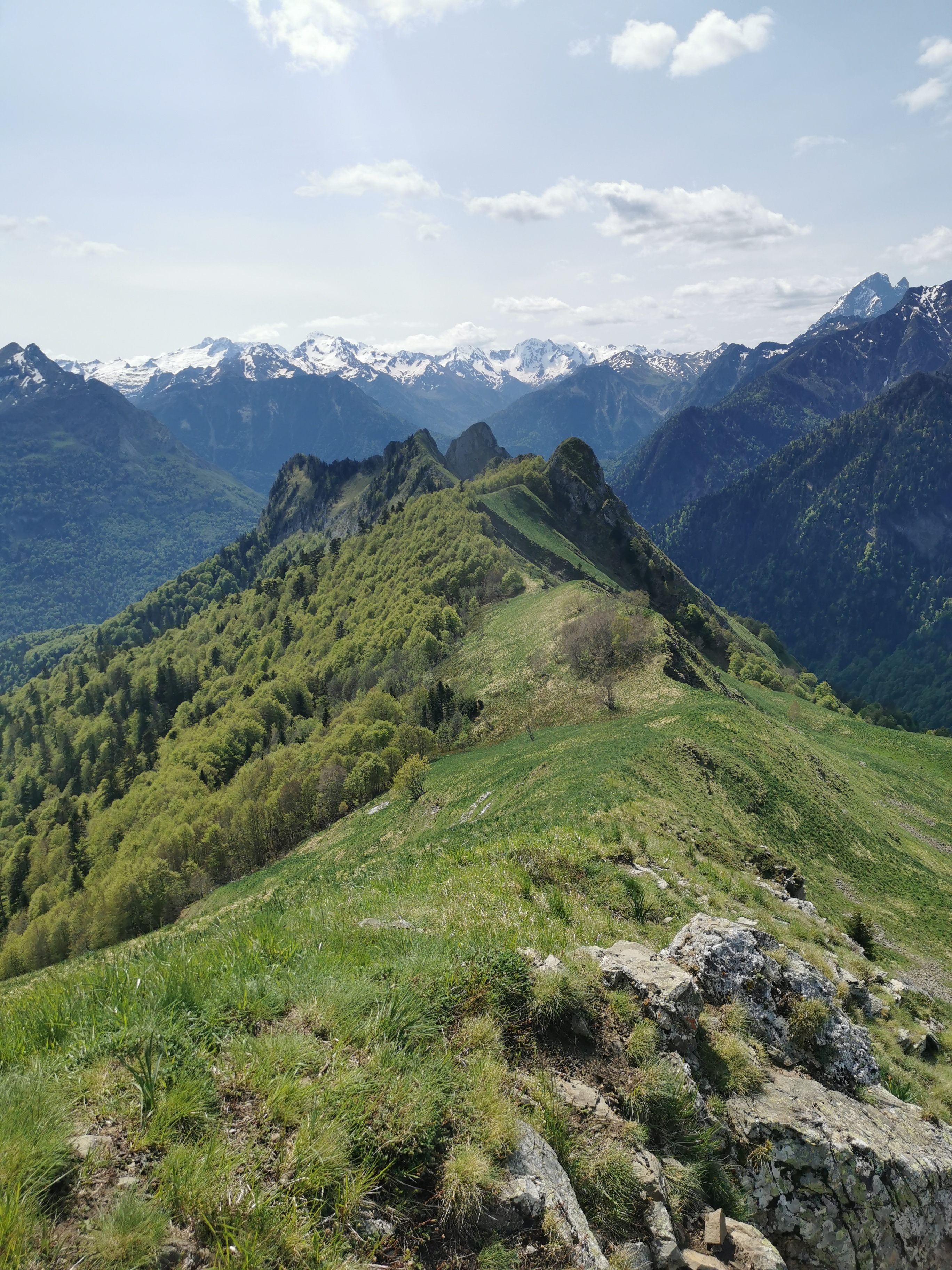 image_1