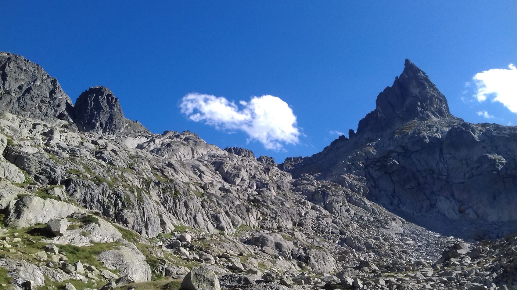 image_1
