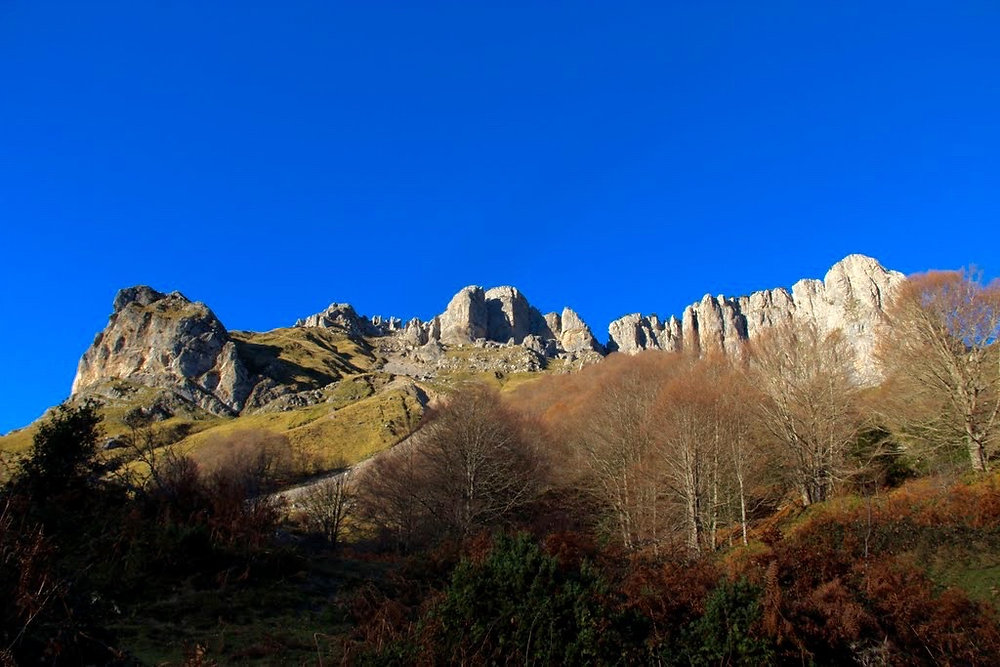 image_1