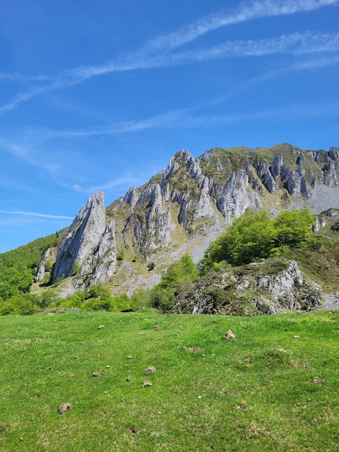 image_1