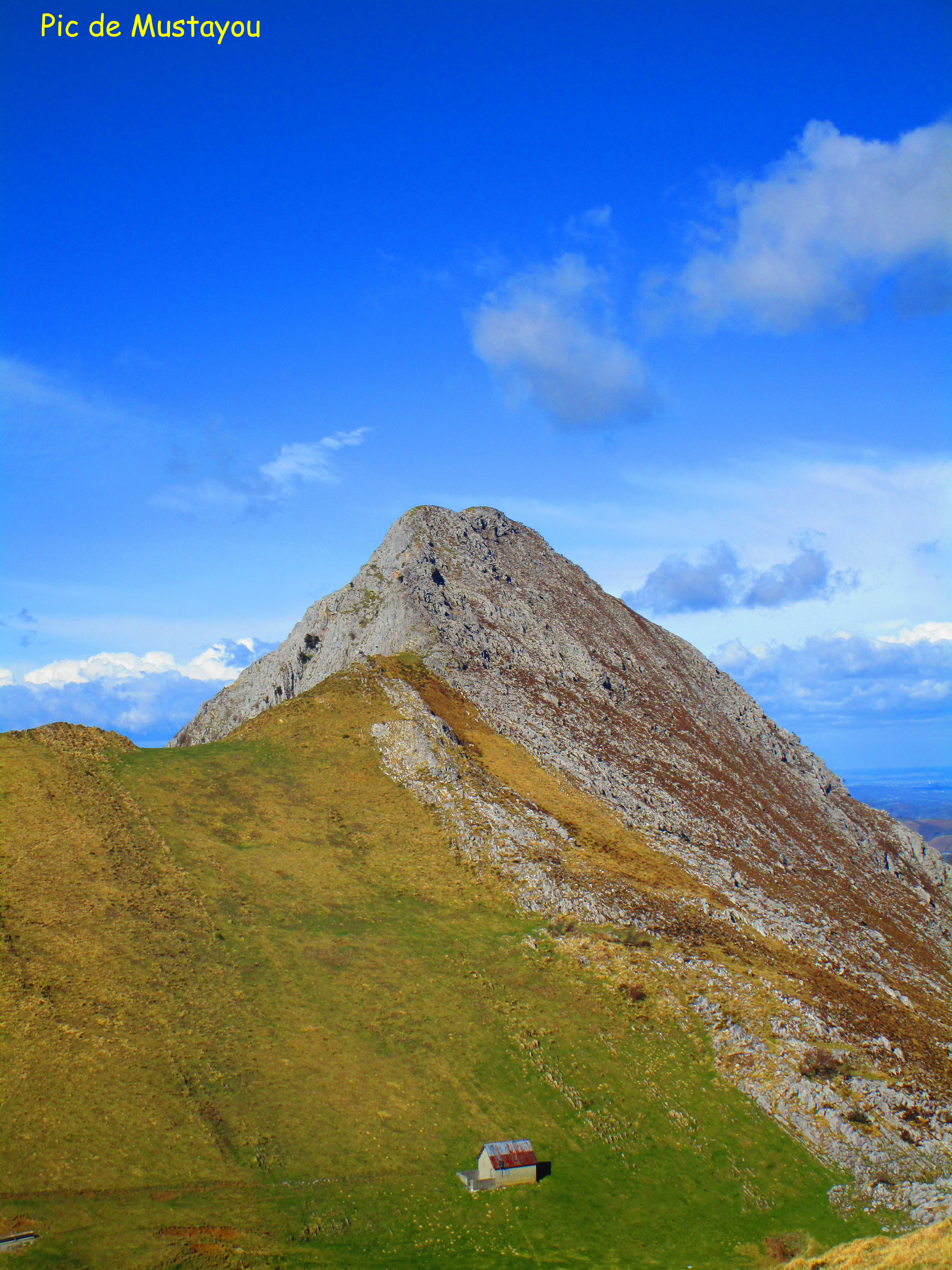 image_1