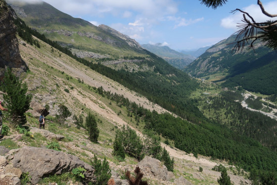 image_1