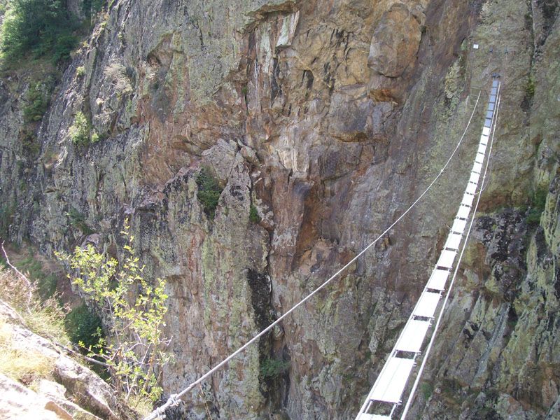 image_1