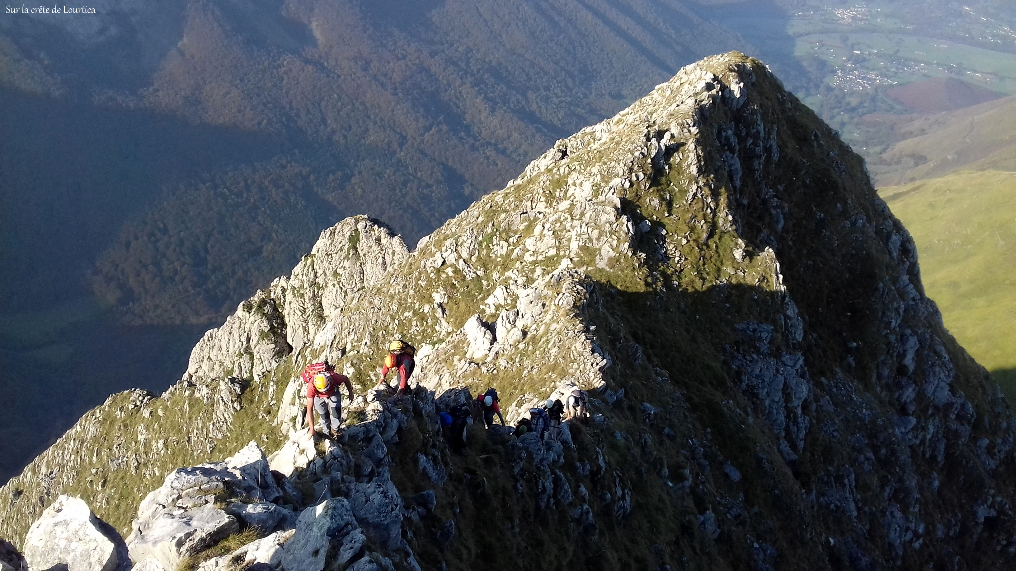 image_1