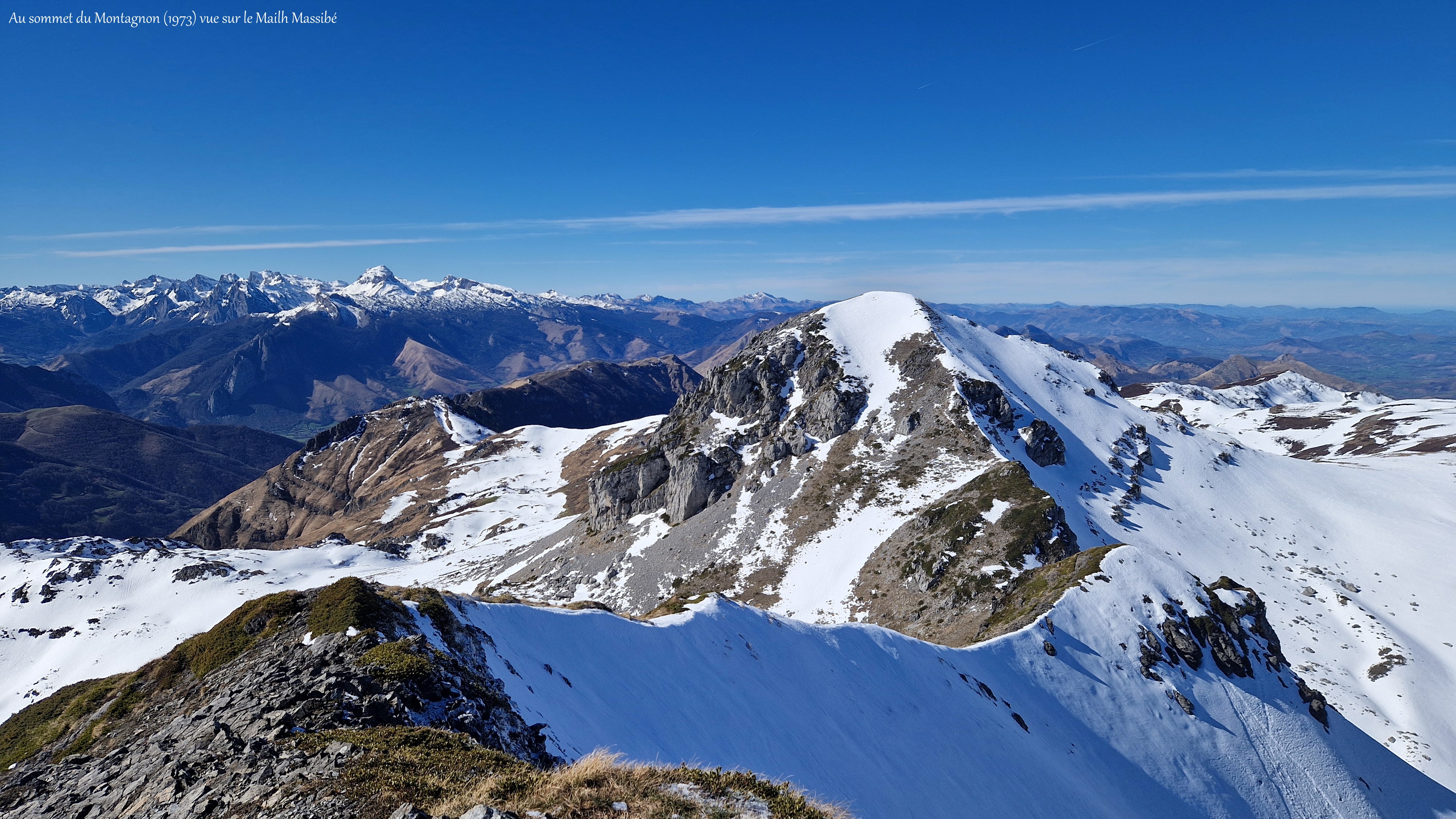 image_1